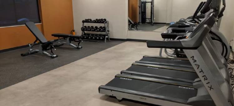 洲际酒店集团旗下尚佩恩假日酒店(Holiday Inn Champaign)图片