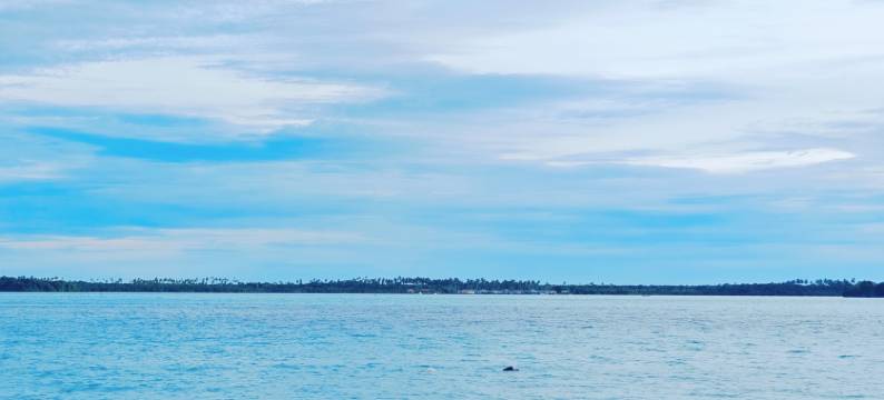 泡泡鱼水屋别墅(全免费:夜间派对+浮潜+玻璃船+海上滑梯+海钓)(BUBBLEFISH WATER VILLA)图片
