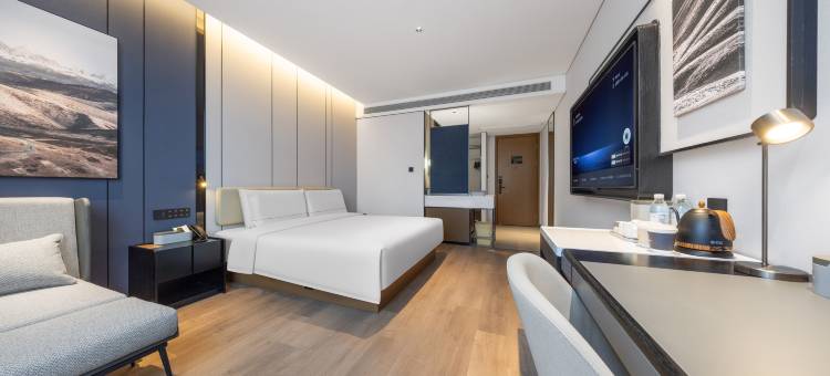 绵阳高铁站涪城万达广场亚朵酒店图片