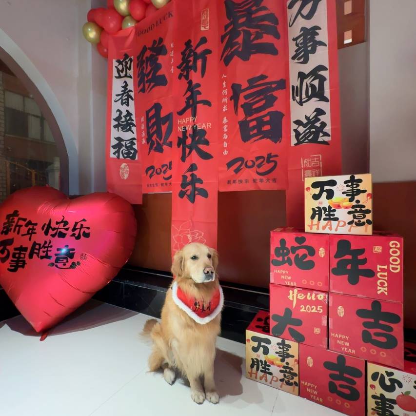 东星一号酒店(平潭龙王头沙滩店)图片