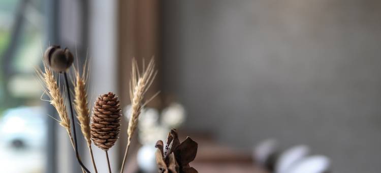 清远古龙峡龙森谷民宿图片