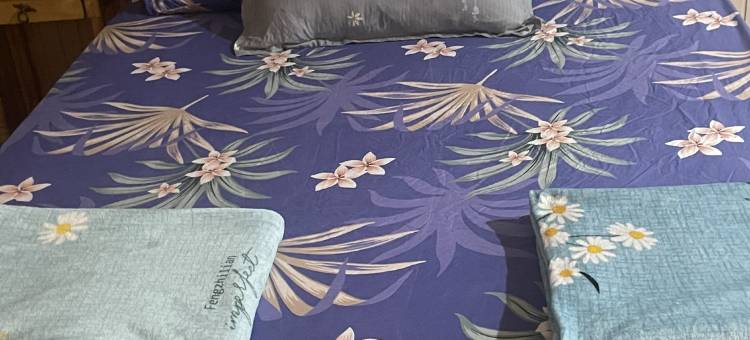 Cozy House Tenom图片