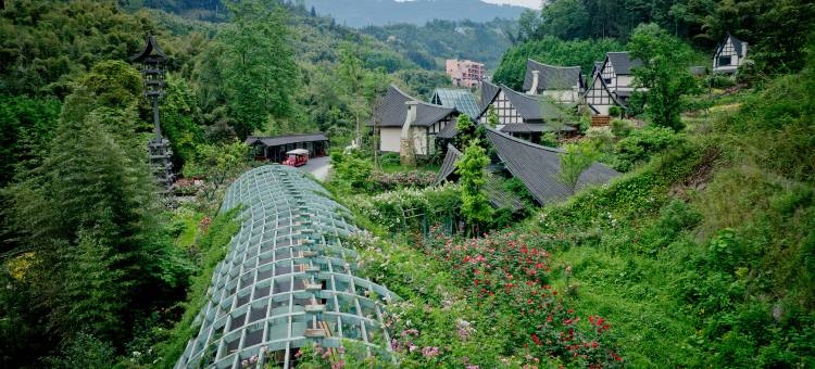 雅安十里芳菲·野玫瑰温泉村落图片