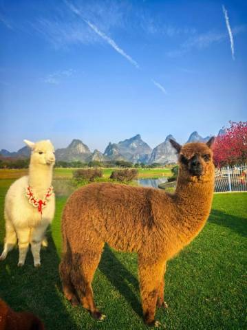 水岸帝景民宿(晴岚景区店)图片