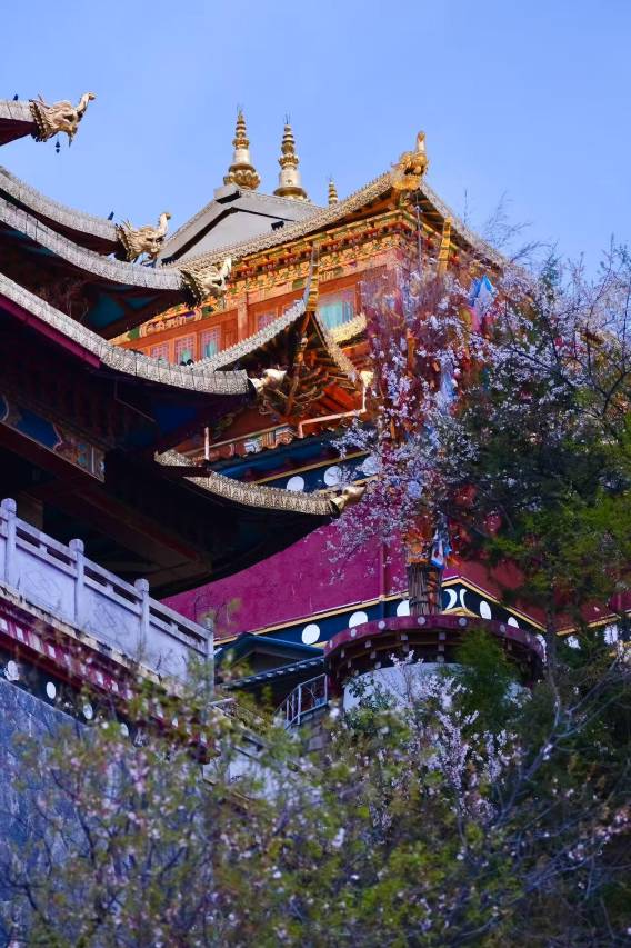 青璞·喜绕归处|全屋智能设计师富氧酒店(独克宗古城月光广场店)图片