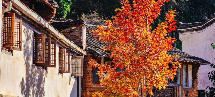 篁岭温馨满屋民宿(篁岭景区A索道口店)图片