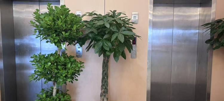 云朵·EnjoyLife愉悦舒适酒店图片