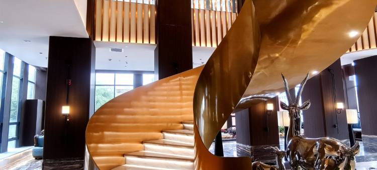 鸿湖国际大酒店图片