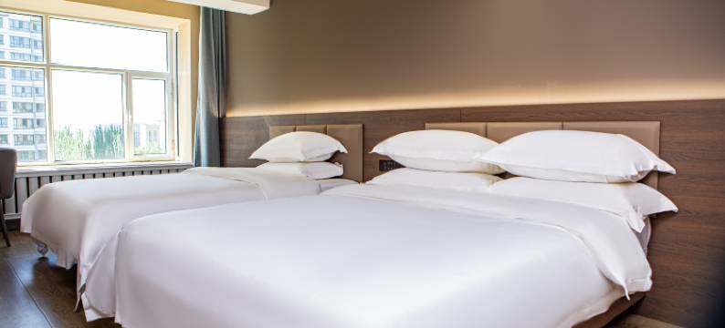 加利大酒店( 乌海市政府乌海湖店)图片