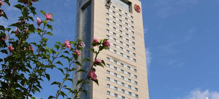 成都天府丽都喜来登饭店(天府广场店)图片