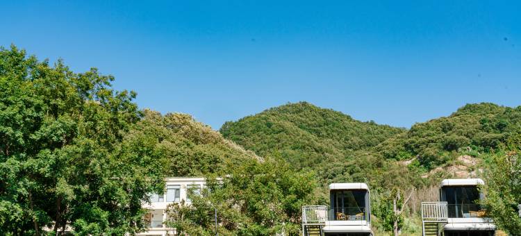 归园田居民宿图片