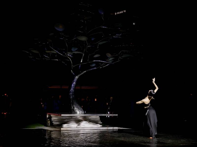 阿丽拉上海图片