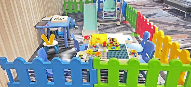 常州中心智选假日酒店(常州青果巷店)图片