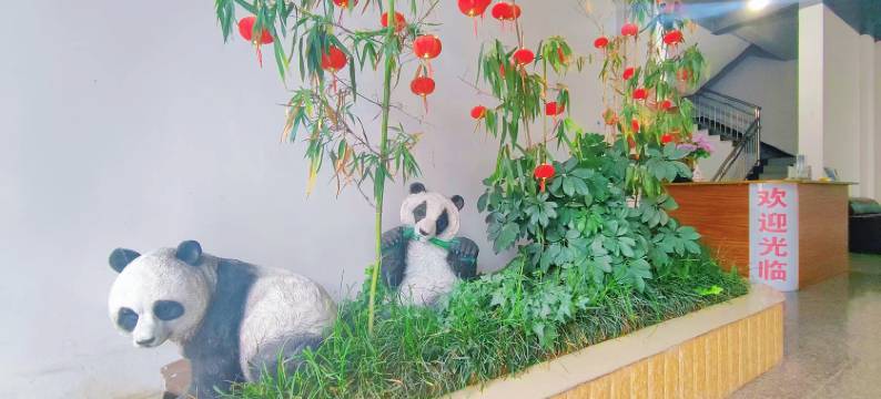 芦山姜城熊猫酒店图片