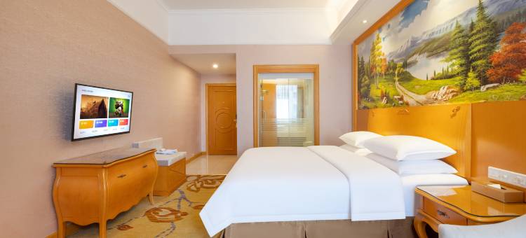 维也纳酒店(东城南站店)图片