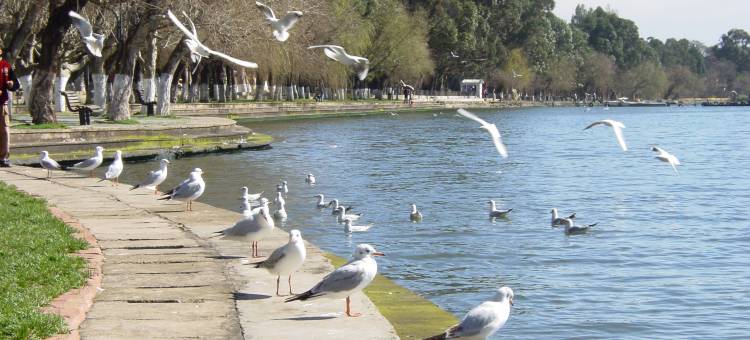 昆明洲际酒店图片