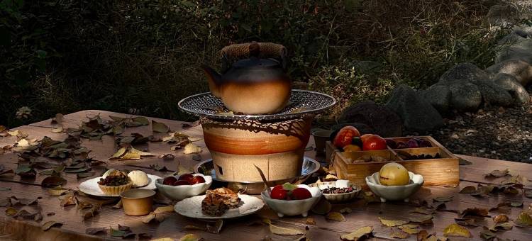 吐鲁番里扎玛特庄园图片