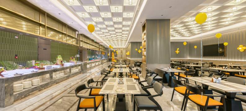 合肥高新豪生酒店图片