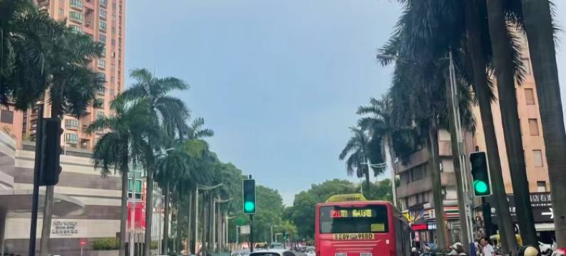 乐游公寓(佛山大良清晖园店)图片