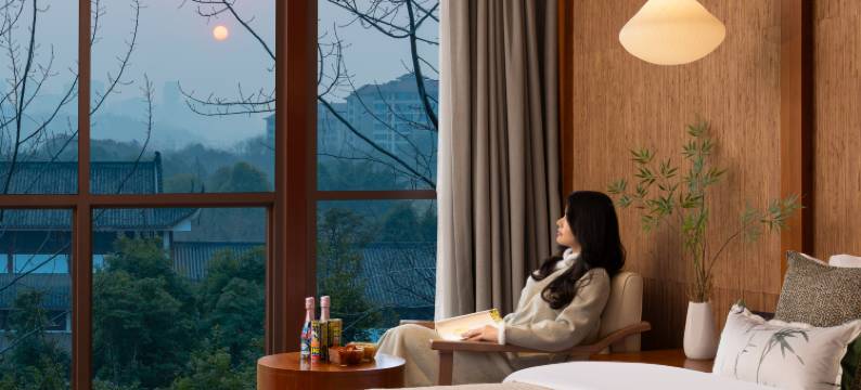 艺画·岷东苏苑大酒店图片