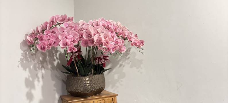 茂锦精选酒店(上海长江南路店)图片