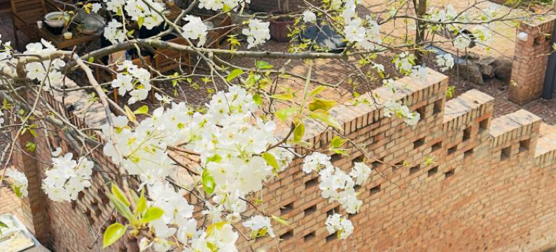 个旧山水云间民宿图片