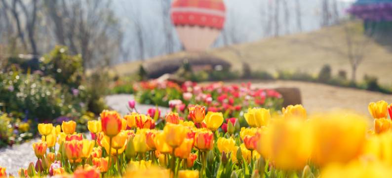 宜兴窑湖大酒店图片