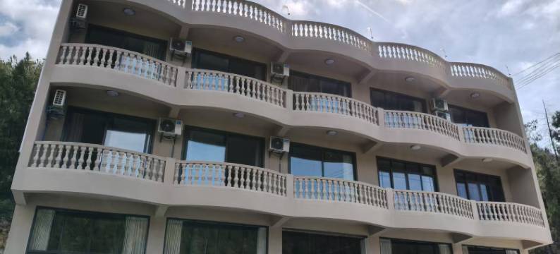 奉节支家大院图片