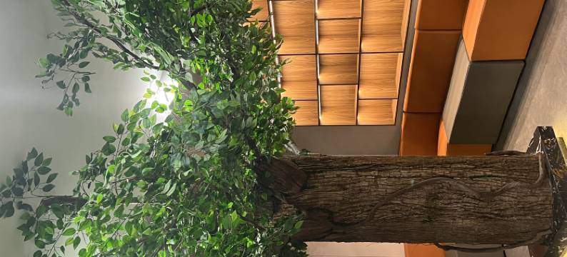 沁县两义轩酒店图片