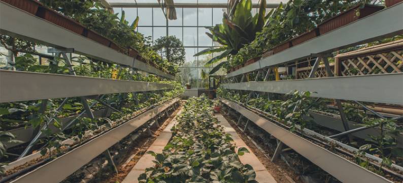 沂源东方书院民宿图片