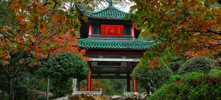 橘洲美奢酒店(黄兴广场IFS国金中心店)图片