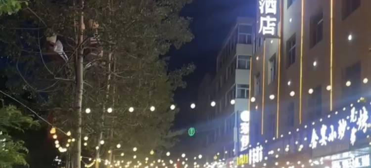 乌兰皇冠品质酒店图片