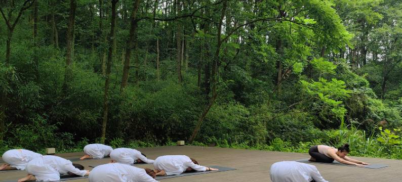 如是居森林疗愈酒店图片