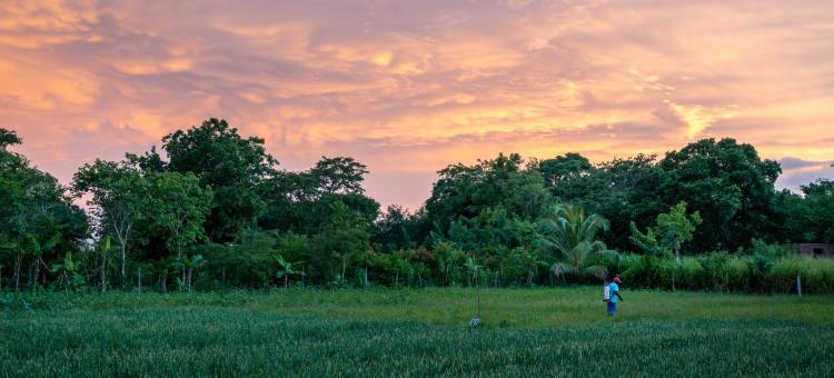 哈巴拉纳-塔鲁别墅玛雅(Taru Villas Maia - Habarana)图片