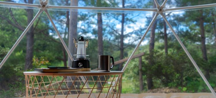 glampark 长野月下美人(glampark Gekkabijin Nagano)图片