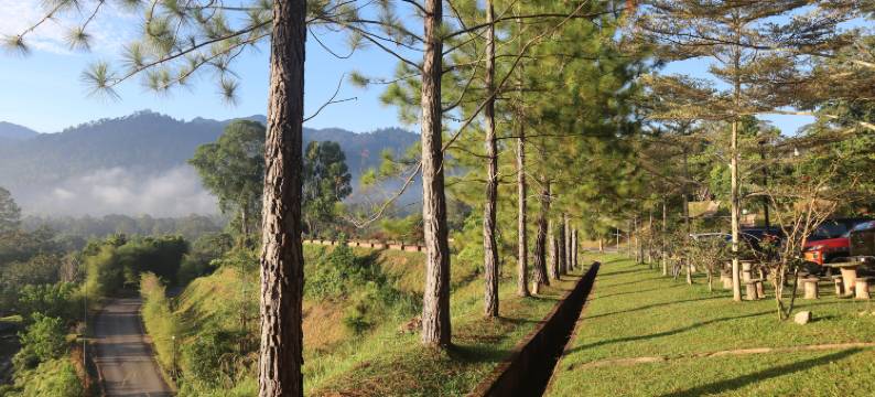 切伦金山会议及水疗度假村(Cherengin Hills Convention & Spa Resort)图片