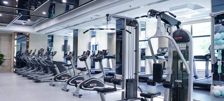 沈阳于洪碧桂园凤凰酒店图片