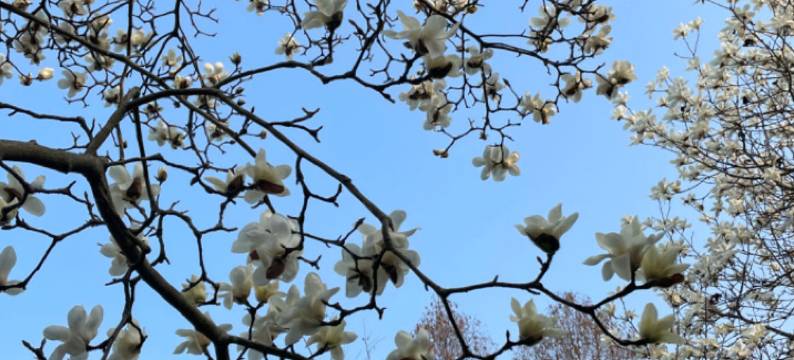 崇明松慢SOMLAND民宿图片