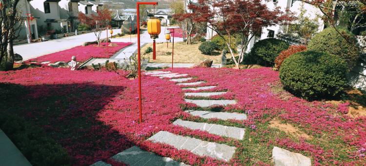 泰安养心谷崧源民宿图片