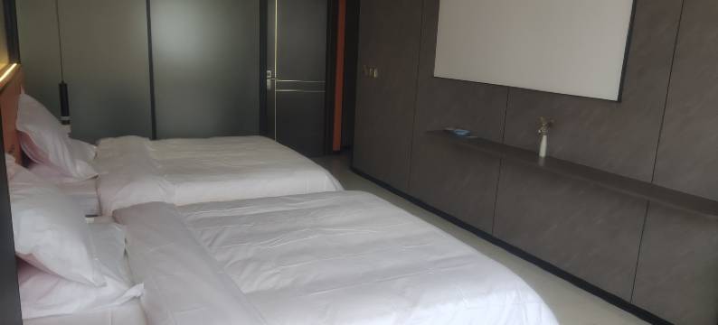 琴治精品酒店(梨苑山庄龙湖壹号店)图片