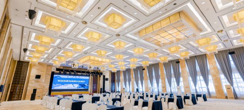 浦江国际大酒店图片