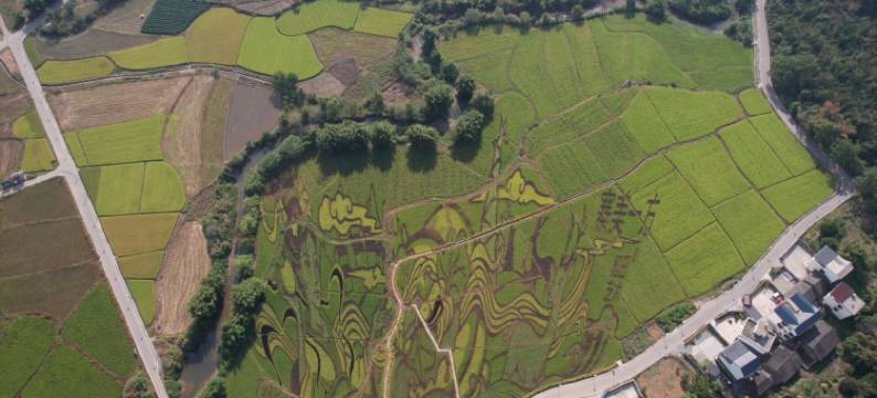 龙兴商务酒店(中渡古镇店)图片