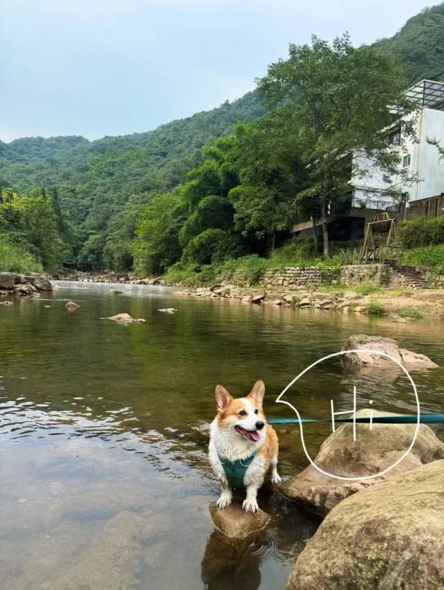 云孚里隐宿·世外度假民宿(青城山镇店)图片