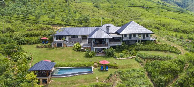 茶花山(Camellia Hills)图片