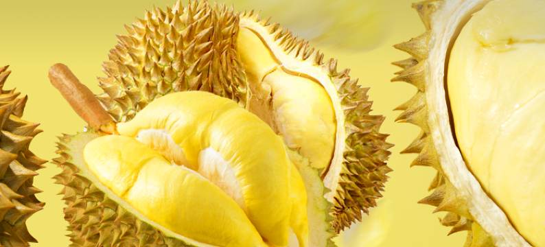 汤连得’多喜温泉酒店图片