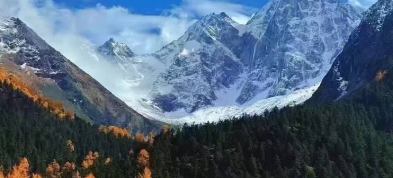 悦居酒店(九寨沟汽车站店)图片