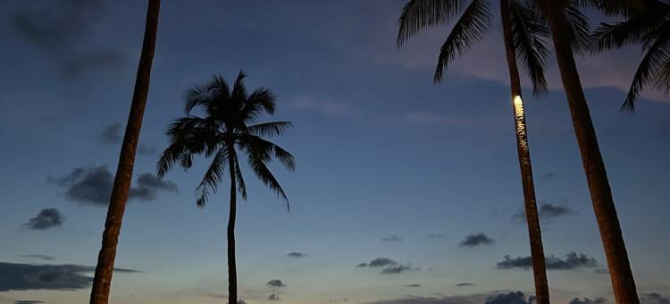洲至奢选 - 象岛丁索度假酒店(Dinso Resort & Villas Ko Chang, Vignette Collection by IHG)图片