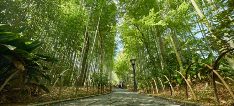 伊豆修善寺温泉酒店-滝亭(Hotel Takitei)图片