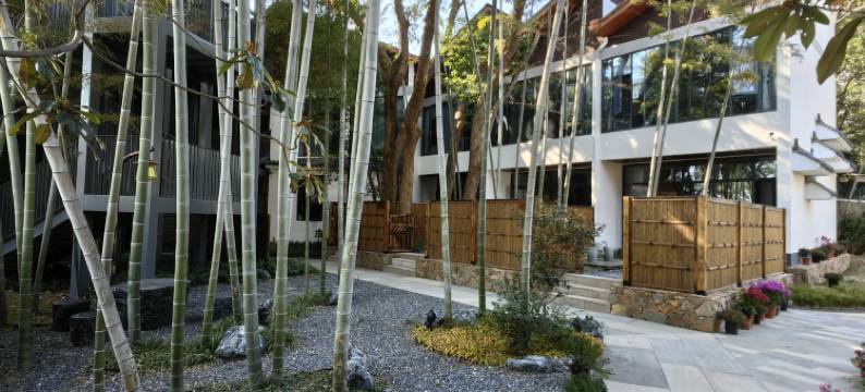 庐山茗庐院民宿(三叠泉瀑布店)图片