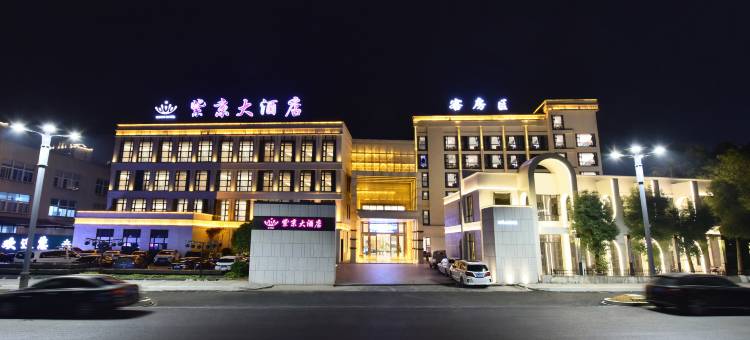 平阳紫京大酒店图片